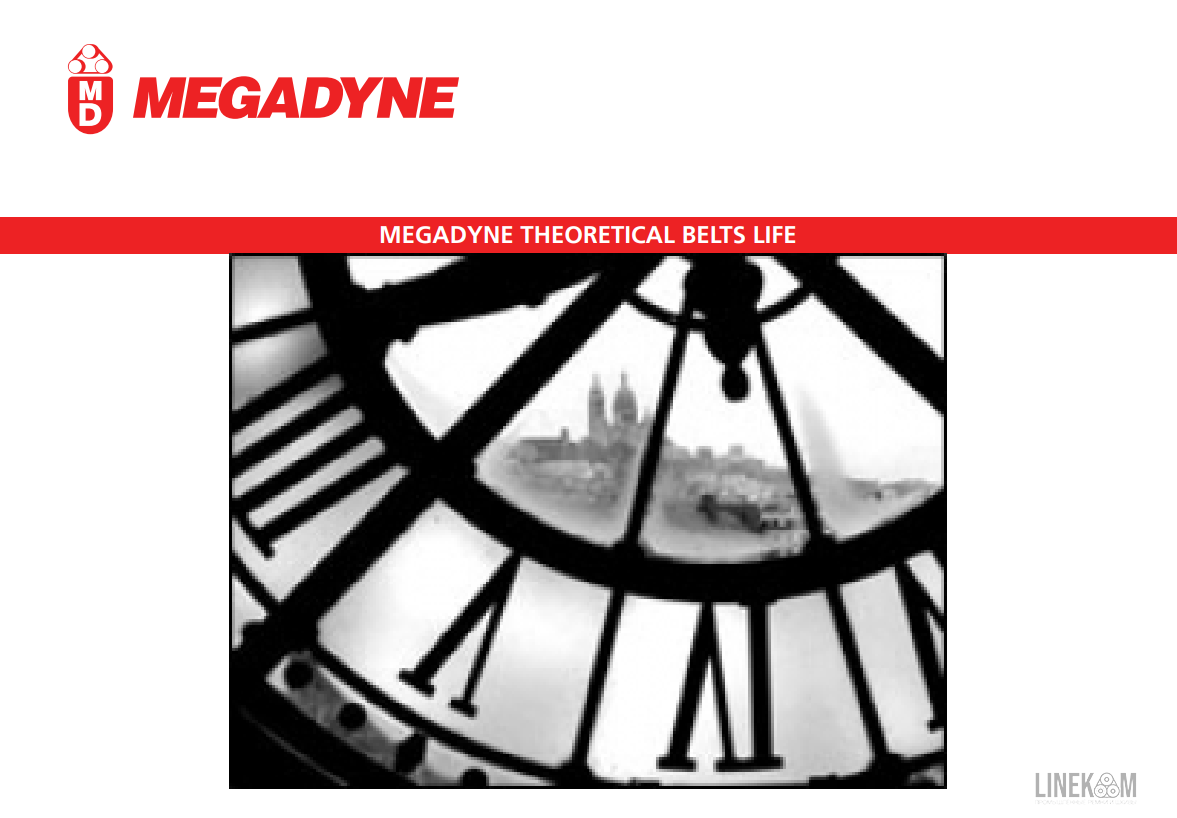 Расчетный срок службы ремни MEGADYNE
